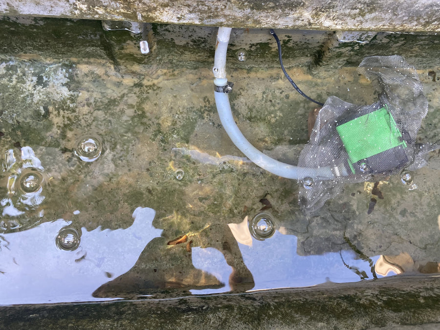 One year with MagSert installed on the recirculating line